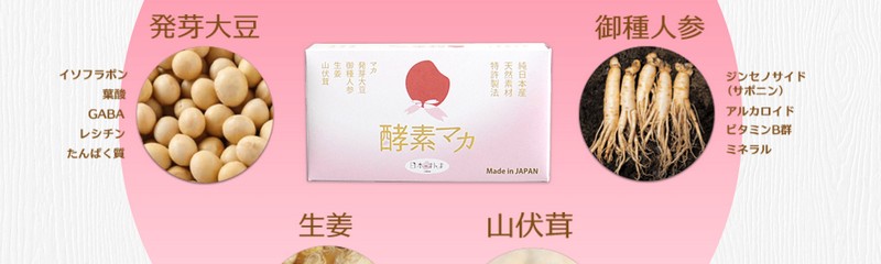 �x�r�҂��}�}���T�|�[�g�I�y�f�}�J���T�C�g